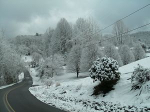 GEDSC DIGITAL CAMERA