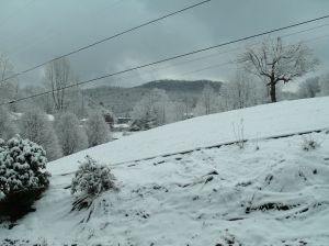 GEDSC DIGITAL CAMERA